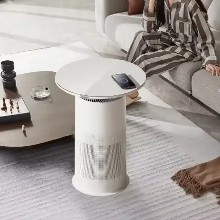 Filtre HEPA économe en énergie pour les personnes allergiques